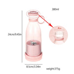 Mini Juicer