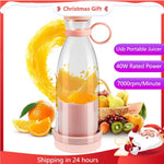 Mini Juicer